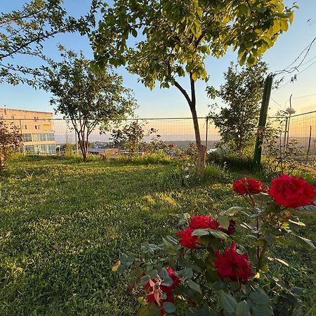 Meti Guest House Kruje Exterior photo