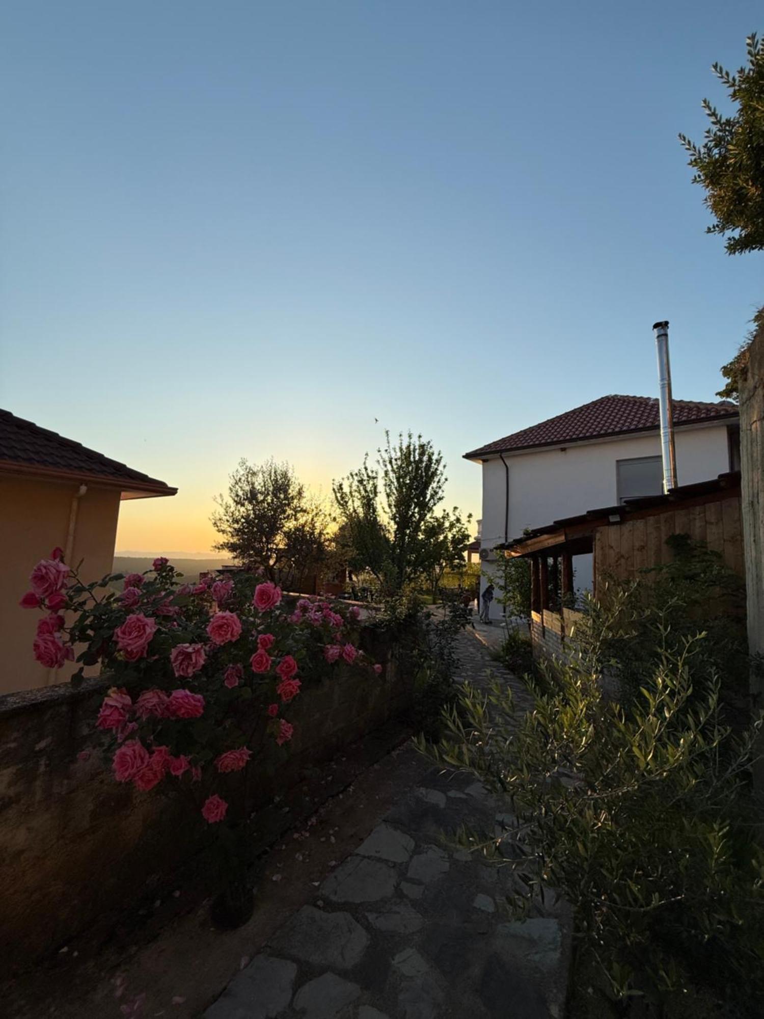 Meti Guest House Kruje Exterior photo