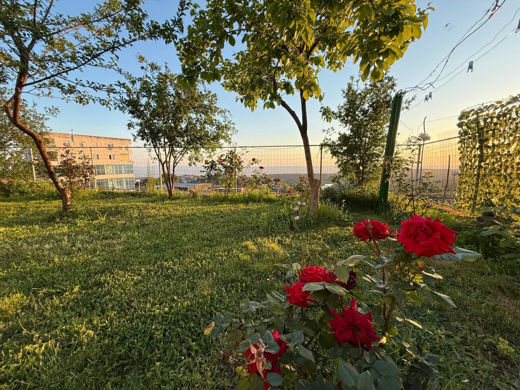 Meti Guest House Kruje Exterior photo